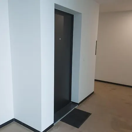 Flat With Garage And Balcony With View To A Garden アパート ヴィラ・ノヴァ・デ・ガイア